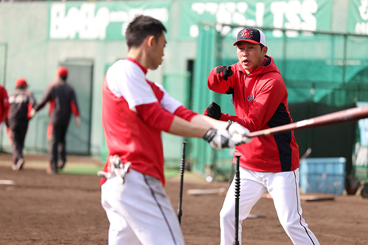 広島のプロスポーツを応援!!【カープ＆サンフレッチェ特集】｜広島経済レポート