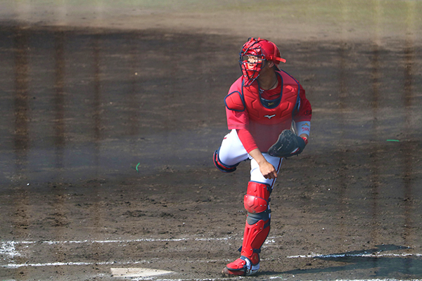 広島のプロスポーツを応援!!【カープ＆サンフレッチェ特集】｜広島経済レポート