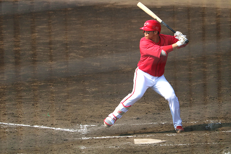 広島のプロスポーツを応援!!【カープ＆サンフレッチェ特集】｜広島経済レポート