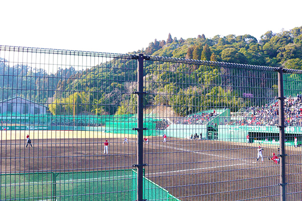 広島のプロスポーツを応援!!【カープ＆サンフレッチェ特集】｜広島経済レポート