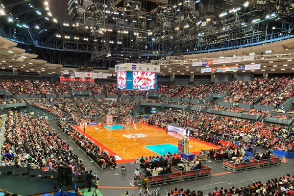 広島のプロスポーツを応援!!【カープ＆サンフレッチェ特集】｜広島経済レポート