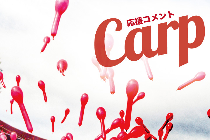 広島プロスポーツ特集｜広島経済レポート